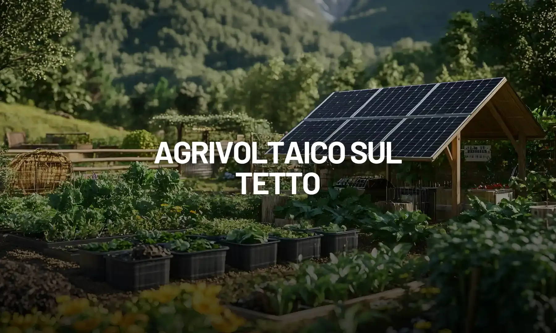 Agrivoltaico sul tetto: energia, coltivazioni e idrogeno