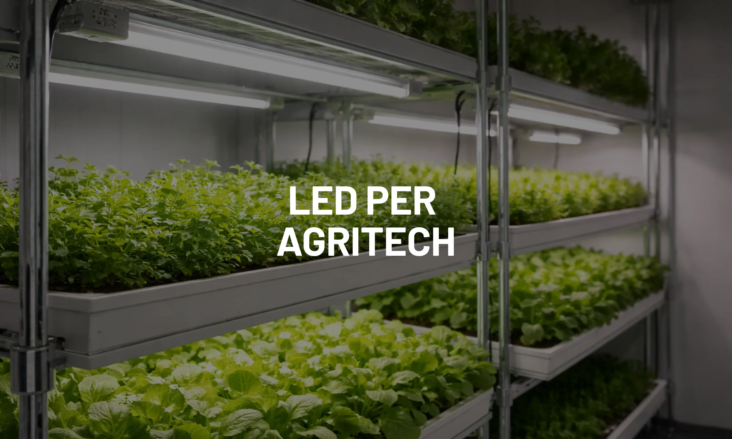LED per agritech: spettri full-spectrum per coltivazioni indoor