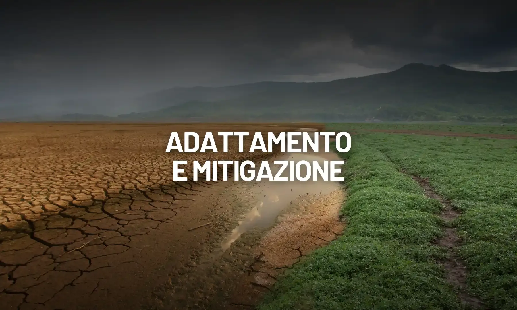 Adattamento e mitigazione: sinergie per il settore edilizio