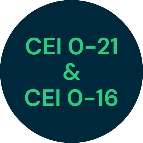 Prodotto con certificato di conformità alle norme CEI 0-21 e CEI 0-16