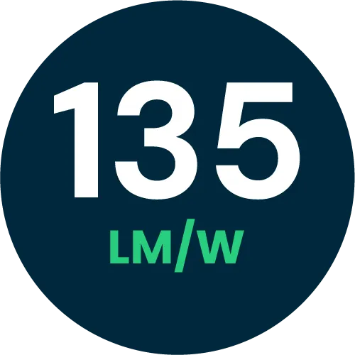 Efficienza luminosa 135 lumen/watt