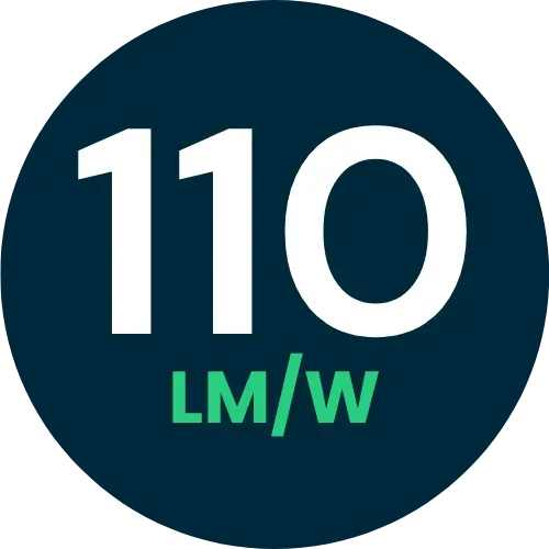 Efficienza luminosa 110 lumen/watt Efficienza luminosa 110 lumen/watt