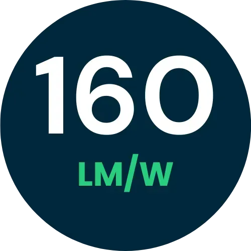 Alta efficienza luminosa 160 lumen/watt