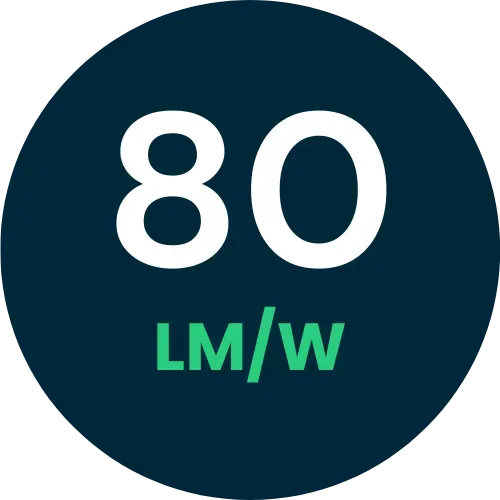 Efficienza luminosa 80 lumen/watt