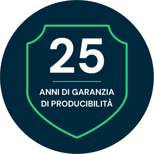 Garanzia sulla producibilità: 25 anni